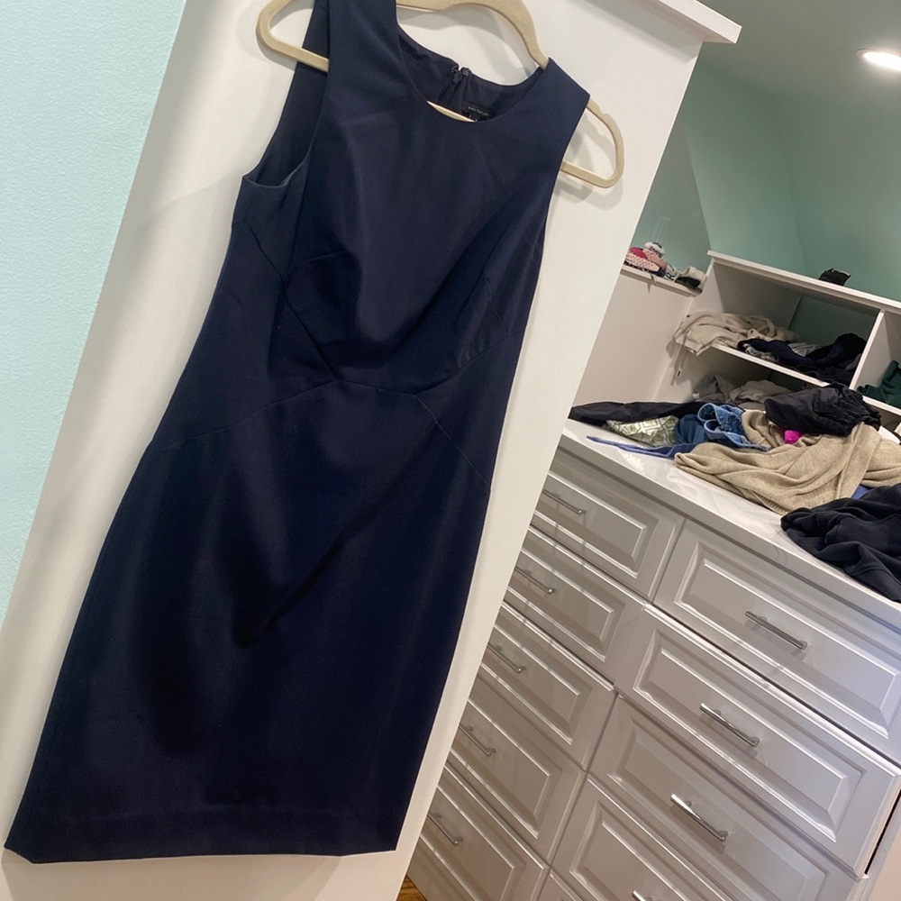 NAVY ann taylor classic suiting dress
